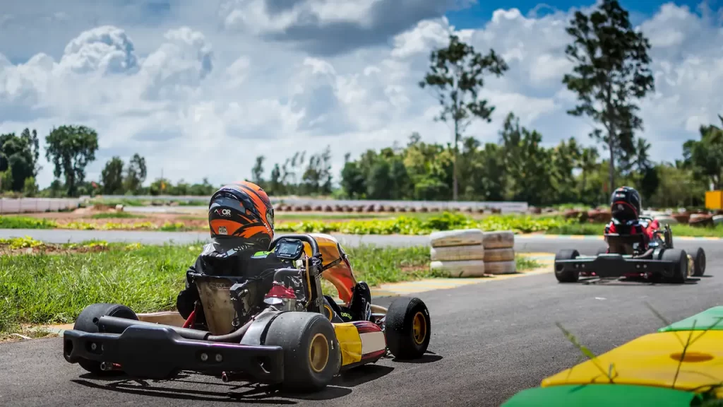NFS 24 HP Kart for go-karting